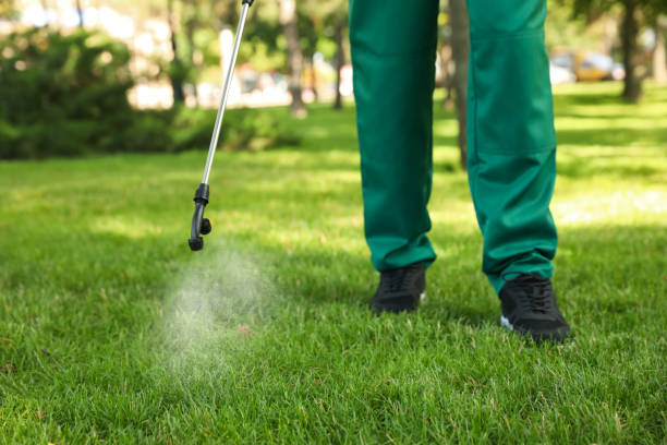 Best Residential Pest Control  in Lake Clarke Shores, FL