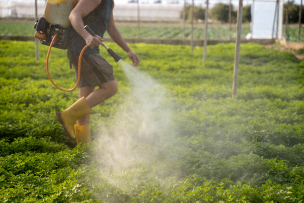 Best Affordable Pest Control Services  in Lake Clarke Shores, FL