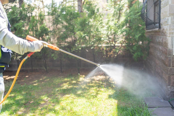 Best Ant Control Services  in Lake Clarke Shores, FL