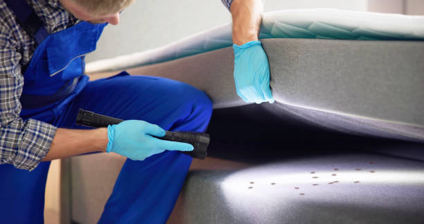 Best Residential Pest Control  in Lake Clarke Shores, FL
